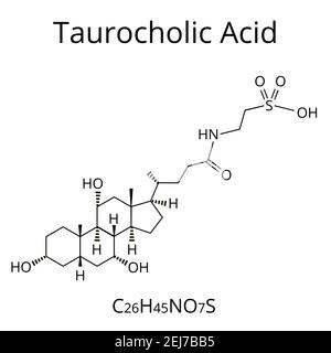 Acido taurocolico. Acido biliare. Formula chimica molecolare acido taurocolico. Illustrazione vettoriale su sfondo isolato Illustrazione Vettoriale