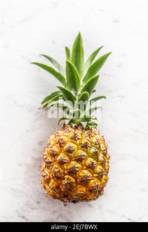 Ananas fresco intero con foglie su una superficie di marmo. Foto Stock