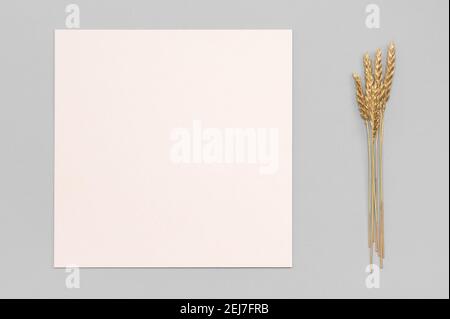 Carta bianca vuota, decorazione d'erba essiccata d'oro su sfondo neutro. Mockup di biglietti d'invito quadrati bianchi su tavolo neutro pastello. Piatto, t Foto Stock