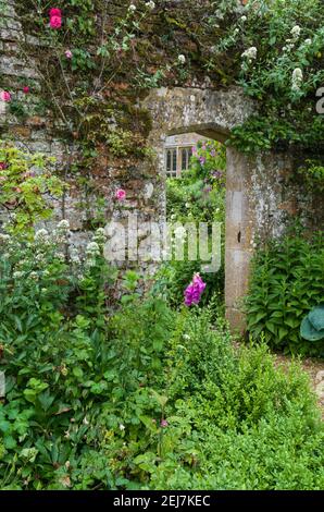 Giardini a Rousham House, Oxfordshire, Regno Unito; arco e piantare all'interno del giardino murato. Foto Stock