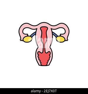 Icona della linea di colore dell'utero dell'organo umano. Pittogramma per pagina web, app mobile, promo. Elemento di progettazione GUI UI UX. Tratto modificabile. Illustrazione Vettoriale