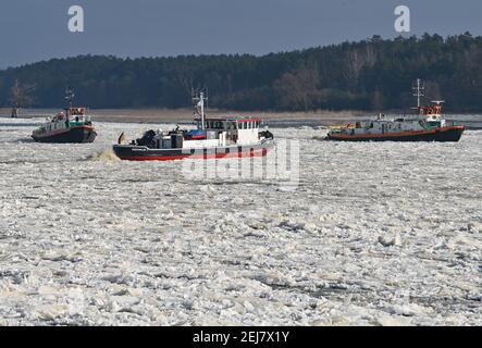 Schwedt, Germania. 18 Feb 2021. Un tedesco (M) e due rompighiaccio polacchi navigano sul fiume di confine tedesco-polacco Oder. La deriva del ghiaccio causa il crescente pericolo di inondazioni su alcune parti del fiume Odra. Credit: Patrick Pleul/dpa-Zentralbild/ZB/dpa/Alamy Live News Foto Stock