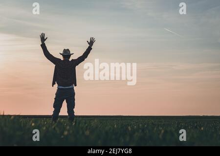 Coltivatore soddisfatto in campo di wheatgrass con le mani sollevate, orgoglioso e felice sta celebrando il successo Foto Stock