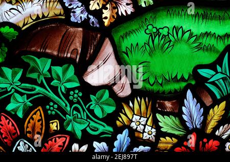 vetrata colorata con motivi floreali, norfolk, inghilterra