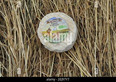 Allevamento di capra e produzione di prodotti biologici di latte di capra Foto Stock