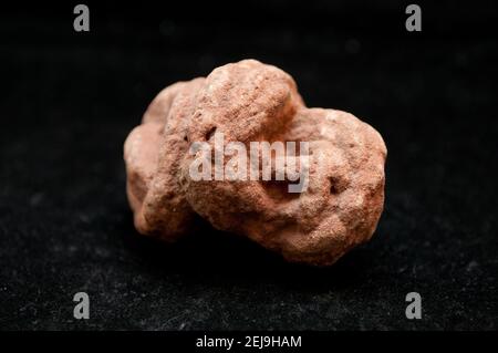 campione di minerale di rosa barite Foto Stock