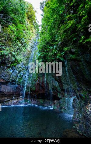25 cascata Fontes - Sentiero Levada escursionistico nella foresta di Laurel A Rabacal - percorso per le famose venticinque fontane in Bellissimo paesaggio - fatto Foto Stock