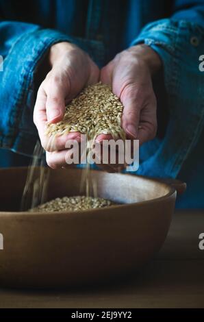 Mani che gettano il riso Yamani in una ciotola. Foto Stock