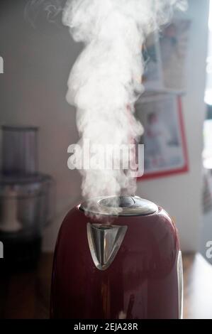 Bollitore elettrico da cucina bollente con vapore per fare un caldo bere Foto Stock