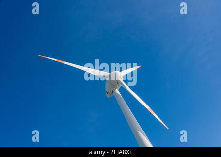 Egeln, Germania. 19 Feb 2021. Una turbina eolica contro un cielo blu. L'espansione dell'energia eolica sta attualmente vacillando. Uno dei motivi principali: Reclami da parte di residenti e amanti della natura. Credit: Stefano Nosini/dpa-Zentralbild/ZB/dpa/Alamy Live News Foto Stock