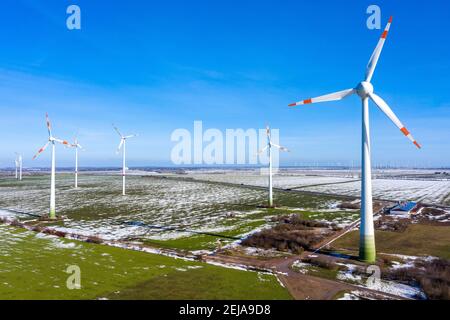 Egeln, Germania. 19 Feb 2021. Dalla centrale eolica di Egeln, si possono vedere le turbine eoliche fino all'orizzonte in condizioni di bel tempo. L'espansione dell'energia eolica sta attualmente vacillando. Uno dei motivi principali: Reclami da parte di residenti e amanti della natura. Credit: Stefano Nosini/dpa-Zentralbild/ZB/dpa/Alamy Live News Foto Stock