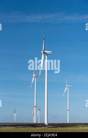 Egeln, Germania. 19 Feb 2021. Le turbine eoliche girano presso la centrale eolica di Egeln. L'espansione dell'energia eolica sta attualmente vacillando. Uno dei motivi principali: Reclami da parte di residenti e amanti della natura. Credit: Stefano Nosini/dpa-Zentralbild/ZB/dpa/Alamy Live News Foto Stock