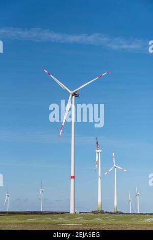 Egeln, Germania. 19 Feb 2021. Le turbine eoliche girano presso la centrale eolica di Egeln. L'espansione dell'energia eolica sta attualmente vacillando. Uno dei motivi principali: Reclami da parte di residenti e amanti della natura. Credit: Stefano Nosini/dpa-Zentralbild/ZB/dpa/Alamy Live News Foto Stock