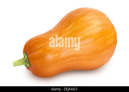 zucca butternut isolato su sfondo bianco con tracciato di ritaglio e. profondità di campo completa Foto Stock