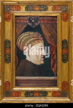 Ritratto di Federico III (1415-1493), Sacro Romano Imperatore. Museo: COLLEZIONE PRIVATA. Autore: ANONIMO. Foto Stock