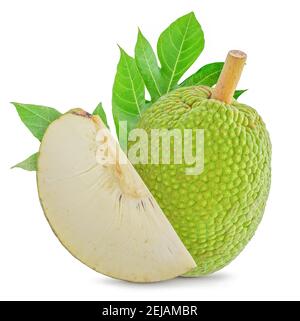 Breadfruit isolato tagliato su sfondo bianco Foto Stock