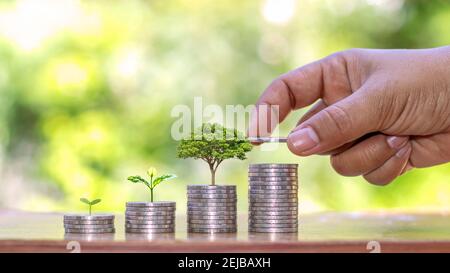 Piantando un albero su un mucchio di soldi, compresa la mano di una donna che tiene una moneta ad un albero sulla moneta, soldi che risparmiano idee e investendo nel futuro Foto Stock