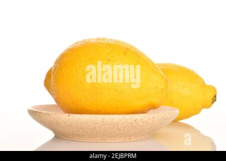 Due saporiti limoni organici, gialli e brillanti, su un piatto leggero in ceramica. Lo sfondo è bianco. Foto Stock