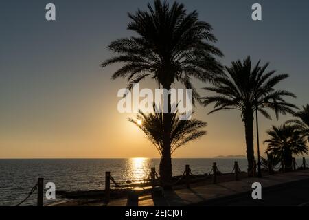 Tramonto colorato sull'oceano con palme in silhouette e un marciapiede sul fronte spiaggia Foto Stock