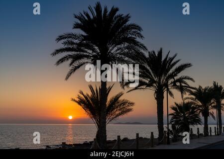 Tramonto colorato sull'oceano con palme in silhouette e un marciapiede sul fronte spiaggia Foto Stock