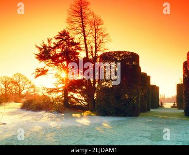 Regno Unito, Cheshire, Arley Hall and Gardens, giardino d'inverno Foto Stock