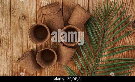 Vasi di torba vuoti per piantine su sfondo di legno con foglia tropicale. Giardinaggio. Il concetto di preparazione degli attrezzi da giardino Foto Stock