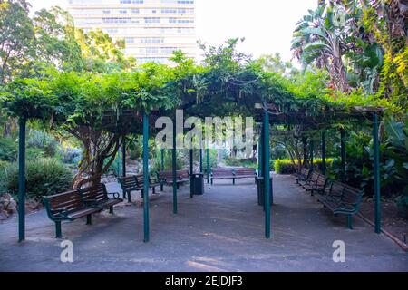 Giardini- Città del Capo, Sud Africa - 19-02-2021 panchine di legno dipinte di verde scuro, sotto una veranda coperta di piante nei Giardini di Città del Capo. Foto Stock