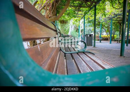 Giardini- Città del Capo, Sud Africa - 19-02-2021 panchine di legno dipinte di verde scuro, sotto una veranda coperta di piante nei Giardini di Città del Capo.