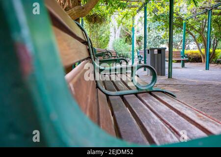 Giardini- Città del Capo, Sud Africa - 19-02-2021 panchine di legno dipinte di verde scuro, sotto una veranda coperta di piante nei Giardini di Città del Capo.