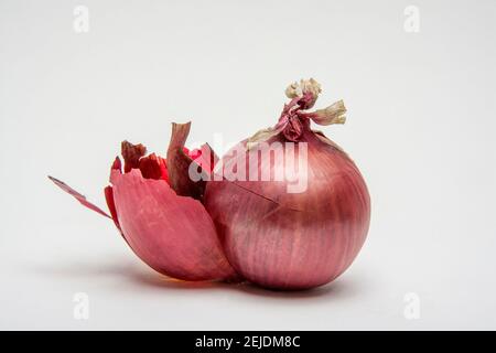 Cipolle appena raccolte esposte su uno sfondo neutro che presenta varietà e colori diversi Foto Stock