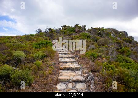 Cape Point- Città del Capo, Sud Africa - 19-02-2021 Scala di pietra che porta sul lato della montagna a Cape Point. Circondato da una lussureggiante vita vegetale. Foto Stock