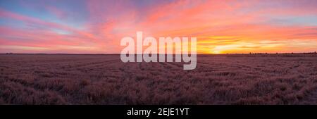 Nuvole sul paesaggio all'alba, Prairie Ridge state Natural Area, Marion County, Illinois, Stati Uniti Foto Stock