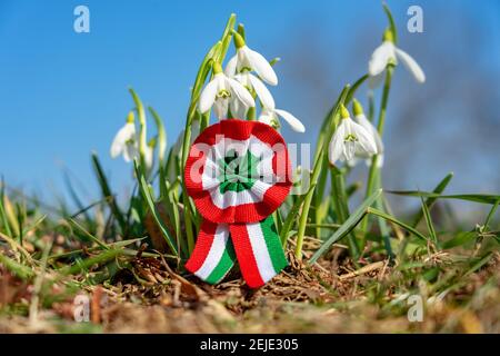 primo piano rosetta tricolore simbolo della giornata nazionale ungherese del 15 marzo con fiore della cameriera della fiera della neve . Foto Stock