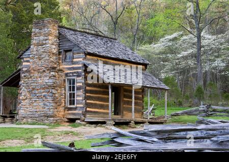 John Oliver Cabin in in a Forest, Cades Cove, Great Smoky Mountains National Park, Tennessee, USA Foto Stock