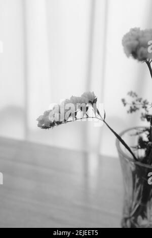 Immagine verticale in scala di grigi di fiori gialli all'interno Foto Stock