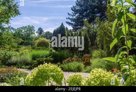 Giardino giapponese sull'isola Margherita di Budapest . Fantastica estate nella capitale ungherese Foto Stock