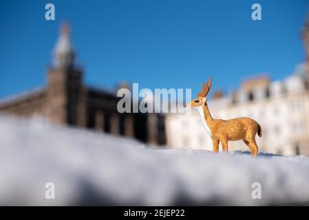 Renna in miniatura nella neve di Edimburgo con Princes Street sullo sfondo e un cielo blu luminoso. Foto Stock