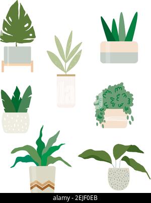 Piante di casa disegnate a mano in vasi raccolta vettoriale. Illustrazione Vettoriale