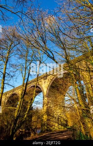 Ponte vicino Torr vale Mill nelle Torrs una gola Nella valle del fiume Goyt a New Mills nel Area High Peak del Derbyshire Peak District UK Foto Stock