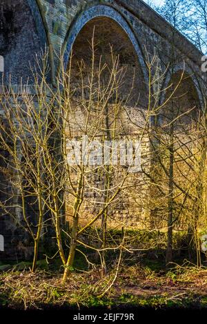 Ponte vicino Torr vale Mill nelle Torrs una gola Nella valle del fiume Goyt a New Mills nel Area High Peak del Derbyshire Peak District UK Foto Stock