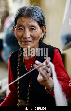 Il Nepal Kathmandu, Lalitpur, campo profughi tibetano Jawalakhel, fabbrica di tappeti JHC Jawalakhel centro artigianale, donne tibetane filare la lana per tappeti per la generazione di reddito / tibetische Fluechtlinge, tibetisches Fluechtlingslager Jawalakhel, Teppichfabrik JHC Jawalakhel centro artigianale, tibetische Frauen spinnen die wolle Foto Stock