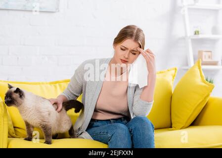 Donna sconvolgente con tovagliolo allergico vicino al gatto siamese Foto Stock