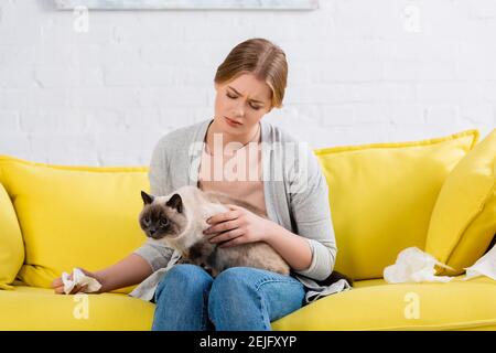 Donna con tovagliolo allergico e gatto siamese sul divano Foto Stock