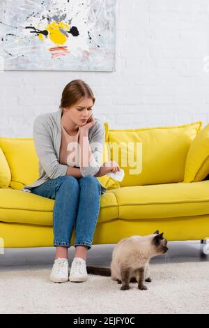 Donna dispiaciuta che tiene il tovagliolo durante l'allergia vicino al gatto siamese Foto Stock