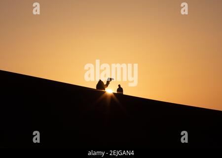 Silhouette di un uomo nomade con il suo cammello in dune di sabbia al tramonto. Liwa Desert, Abu Dhabi, Emirati Arabi Uniti. Foto Stock