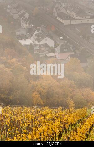 Vista elevata della città dalla collina con vigneti in autunno, Assmannshausen, Assia, Germania Foto Stock