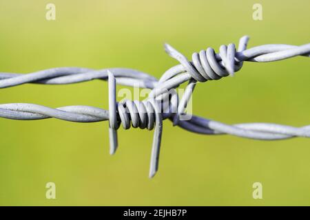 Primo piano della recinzione di filo spinato. Recinzione in filo d'acciaio. Foto Stock