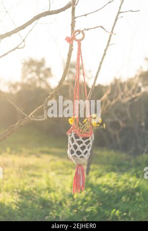 Pentola di macrame fatta a mano con margherita Foto Stock