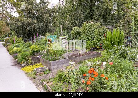 Nelson Park Community Garden a Vancouver, British Columbia, Canada Foto Stock