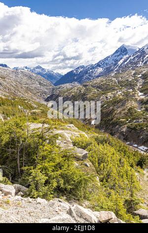 Una vista all'inizio di giugno sul confine tra Canada e USA accanto alla Klondike Highway NE di Skagway, Alaska, USA Foto Stock